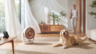 SwitchBot’s ‘world’s first’ battery air circulator fan with Matter is a summer saviour