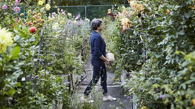 Garden Diaries: Inside Frances Palmer's Cut Flower Garden, Where Seasonal Blooms Inspire and Shape Her Ceramics