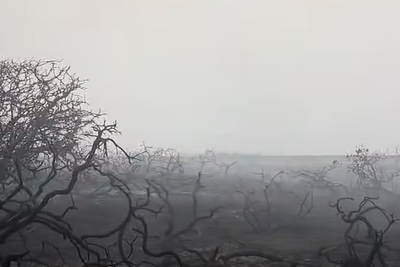 Suffolk wildfire: Smouldering aftermath captured on camera as blaze continues to spread