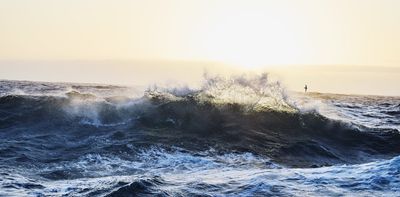 Falls in whale sightings, rare seabirds appearing – is something unusual happening in the Southern Ocean?