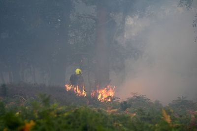 Firefighters tackling Suffolk wildfire making ‘good progress’