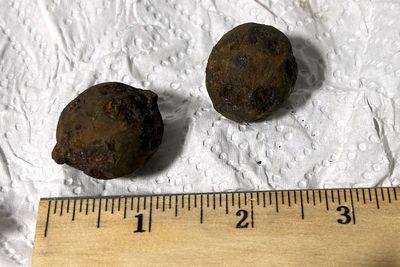 TSA discovers stolen Civil War cannonballs hidden in suitcase