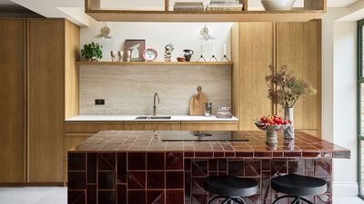 Kitchen Cabinet Materials Explained – An Expert Guide to Help You Make the Best Choice