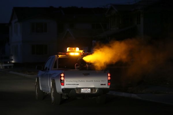 Santa Clara County Reports Its First Two West Nile Cases of 2026, but Officials Cannot Say Where the Patients Were Infected