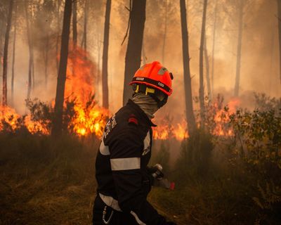 Will brutal wildfires force French leaders to take climate crisis seriously?