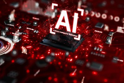 AI-for-all project delayed pending review