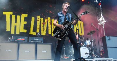 'Rebirth of the band': The Living End put their trust back in rock'n'roll