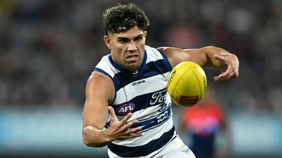 Cats part ways with premiership hero Stengle