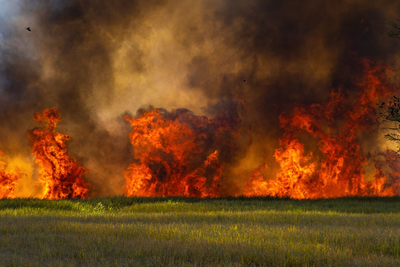 Suffolk Scrapped Climate Emergency Declaration Two Weeks Before 'Apocalyptic' Wildfire Hit