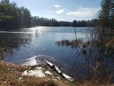 In 1984, Wisconsin scientists divided a lake in half and acidified one side to mimic acid rain; bass stopped reproducing, and the fishery collapsed