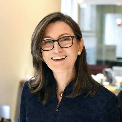 Why high-conviction investor Cathie Wood bought Nvidia after it erased billions from May high