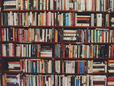 Buy, scan, destroy: AI firms are shredding millions of books to train their chatbots