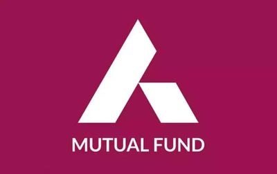 Why Axis Mutual Fund is asking investors to look at largecaps as well
