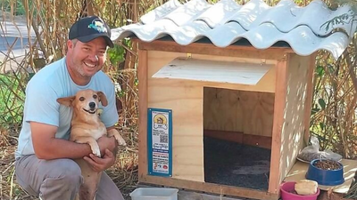 This Brazilian truck driver has built more than 1,700 wooden homes for stray dogs and cats, giving them shelter from rain and cold
