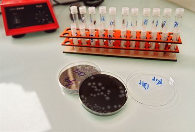 Salmonella Javiana Cases Double to 212 in a Week and the FDA Still Has Not Named a Food