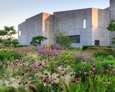 ‘If a space is cared for, everything improves’: Meet four gardeners transforming their urban communities