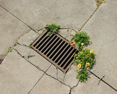 The best recent poetry – review roundup