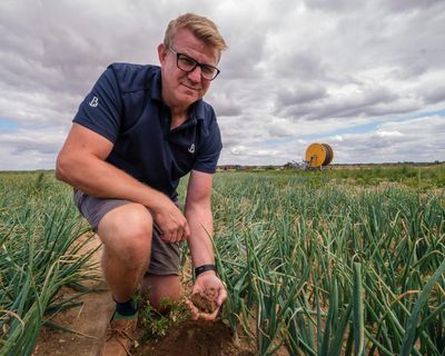 ‘It’s too fast, too big’: speed of climate crisis is devastating crops, say farmers