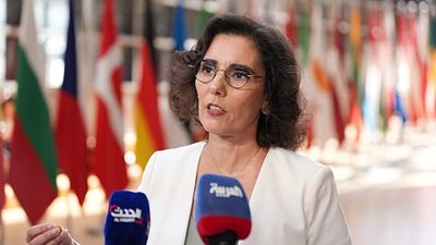'This is our wake-up call': EU crisis chief slams climate deniers after French fires