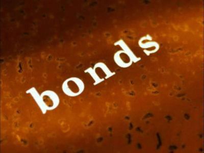 State Bank of India's perpetual bond demand seen spurring more issuances, bankers say