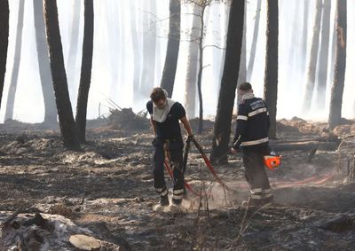 Fire risks, water shortages as heatwave hits central Europe