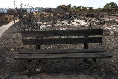 Suffolk wildfire evacuees given ‘small window’ to collect belongings