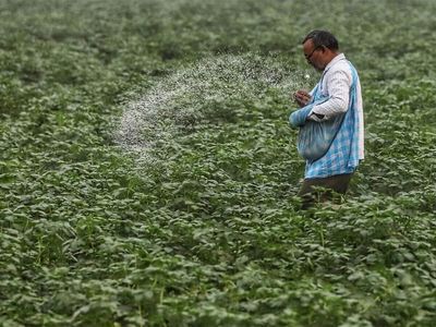 States conducted over 1.69 lakh raids so far in FY27 to curb hoarding of fertilisers: Govt