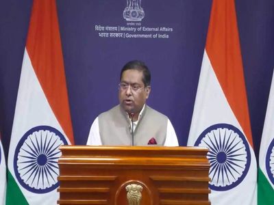 MEA says India's dual-use exports comply with laws after Amnesty report