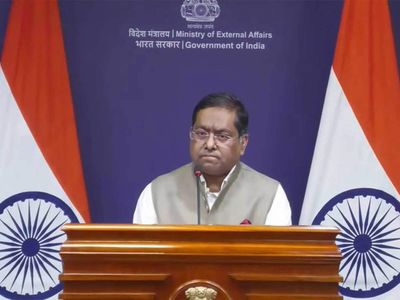 India closely monitoring US bill targeting buyers of Russian oil, says MEA