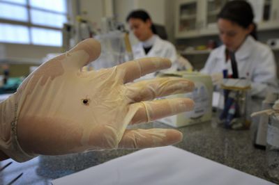 Deadly' Tick Can Feed on Your Blood for Days Before You Realize You've Been Bitten, Now a Rare Virus is Spreading
