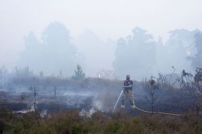 National Trust launches fundraising drive over ‘devastation’ at Suffolk reserve