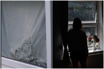 'I'm disabled and trapped in a rodent-infested London flat plagued with flies'