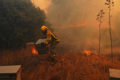 UN, scientists warn that strong El Nino will add fuel to 'a planet already on fire'