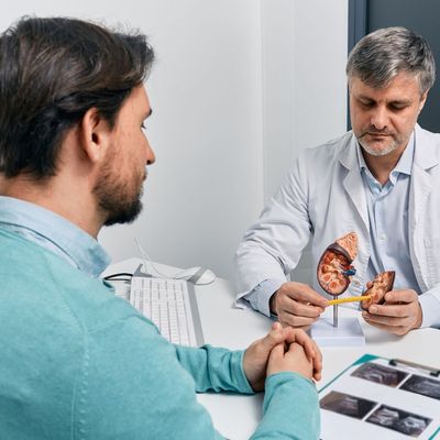 A Second B Cell Drug for IgA Nephropathy Was Approved in July and Two More FDA Decisions Are Due by December