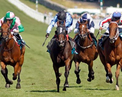 Asfoora retirement on hold after popular sprinter’s gallant defeat at Goodwood