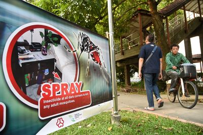 CDC Refreshes Its Chikungunya and Dengue Travel Notices, and the Dengue Country List Has Changed