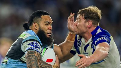 Milestone 'emotional' and 'bittersweet' for Shark
