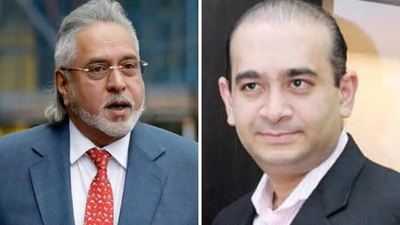 'You are a fool to live so openly, Mallya told Nirav before his arrest'
