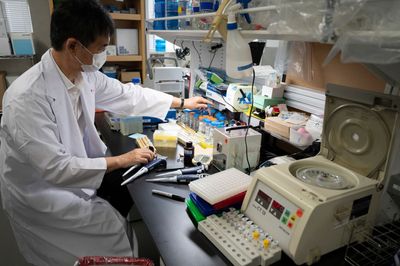 Researchers Report a Molecular Brake That Keeps Immune Cells from Attacking Healthy Tissue on Their Way to an Infection