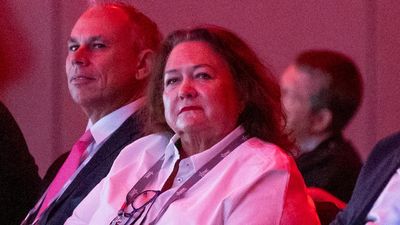 Fruity film fantasy riles free speech fan Rinehart