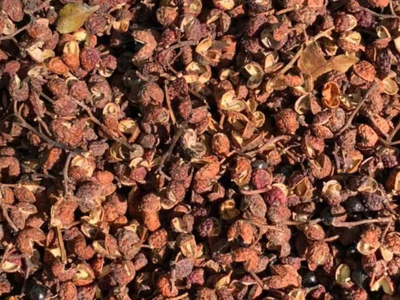 This Himalayan treasure helped over 200 families earn lakhs while protecting 100 sq km of forest