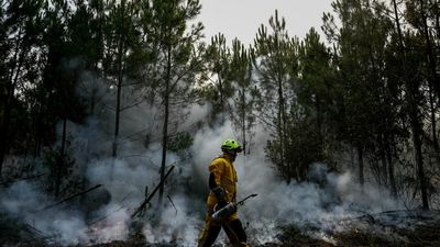 France's wildfires are now 'under control', says PM Lecornu