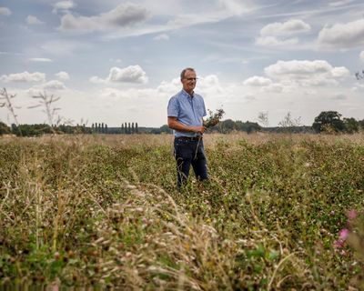 ‘Worst we’ve known’: UK turns to imports as drought and heat hit vegetable crops