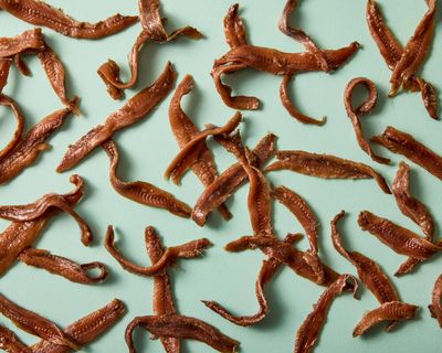 ‘Intense, salty, foul’: the best (and worst) supermarket anchovies, tasted and rated