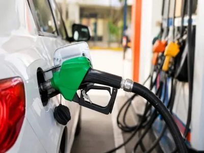 Petrol could cost Rs 125/litre without ethanol blending: Government