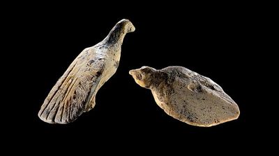 Find in German cave: 40,000-year-old mammoth ivory bird figures discovered