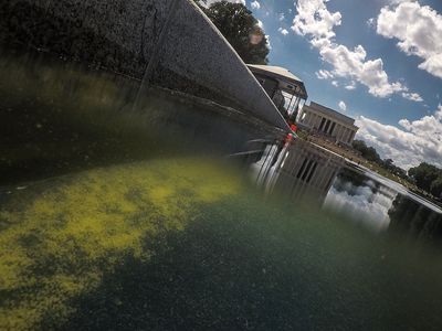 DOJ reverses in Pool vandalism case