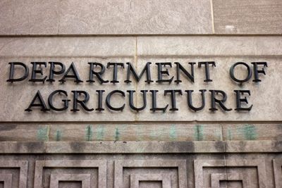 USDA Expects Grocery Prices to Rise Again—Which Foods Are Likely to Cost More Before Labor Day?