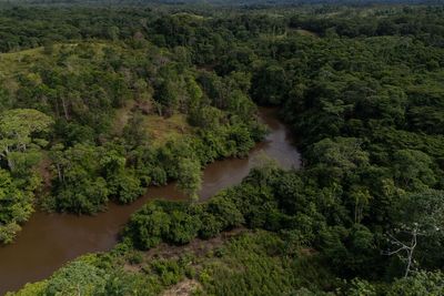 Colombia's deforestation rises slightly as Amazon forest loss holds steady