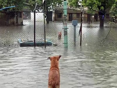 Heavy rains force postponement of exams across Kerala